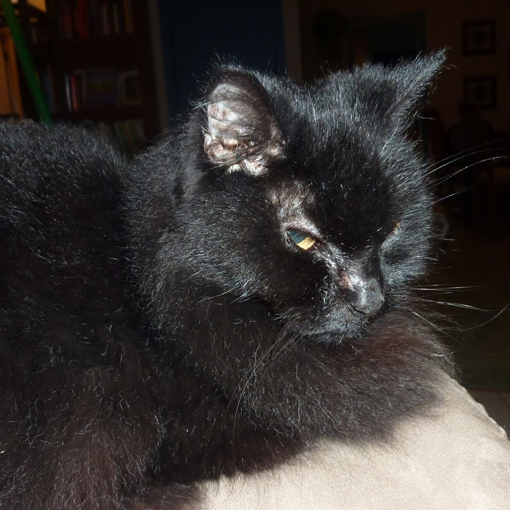 Meet your Posher, Kyle